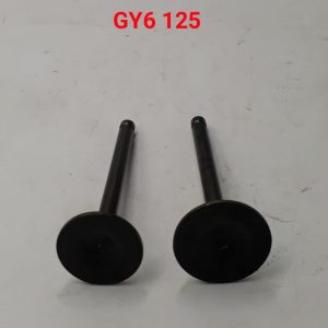 GY6 125 ENGINE VALVE SET