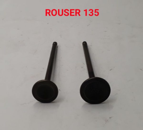 ROUSER135 ENGINE VALVE SET