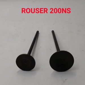 ROUSER 200NS ENGINE VALVE SET