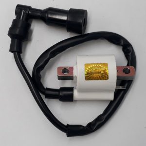 ROUSER 200NS RIGHT IGNITION COIL WITH CAP